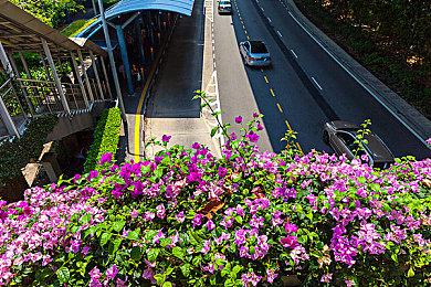 《霍格沃茨之遗》迎来发售两周年 销量已超3000万